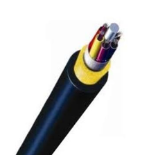 Cáp quang Multimode 24 sợi 24FO multimode